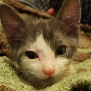 Meet your Posher, Jake